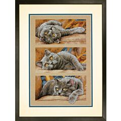 Max The Cat Dimensions Kit