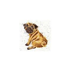 XHD1 - Bright Eyes Cross Stitch Kit