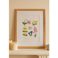 DMC Mindful Making - The Meadow Flowers