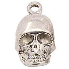 Skull silver tone Charm - 1