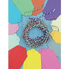 Plain Tags with Twine 