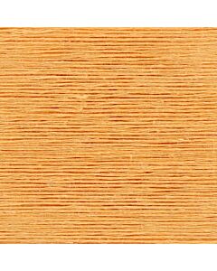 010 - Apricot