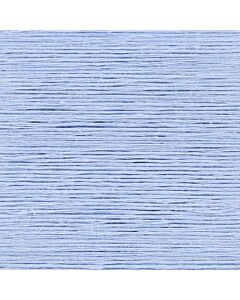 031 - Forget-me-knot