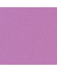 20 Count Bellana Orchid
