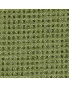 20 Count Bellana Avacado