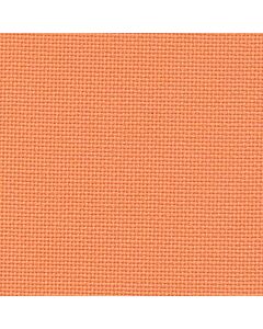 19 Count Ariosa Pumpkin