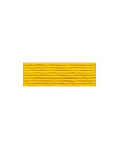 D#5 444
