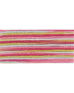 DMC Coloris Stranded Cotton Thread - 4502