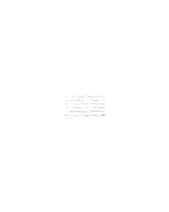 AnP#12 0002