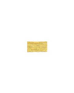 DMC Satin Thread - S676