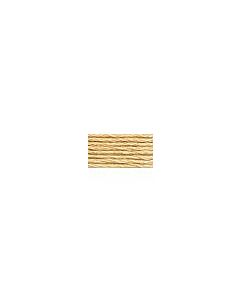 DMC Satin Thread - S738
