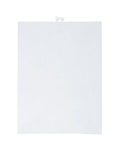 33275 - Plastic Canvas 14 Hole 8.5 x 11in - 1 Sheet