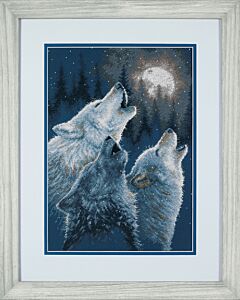 Counted Cross Stitch Kit: In Harmony