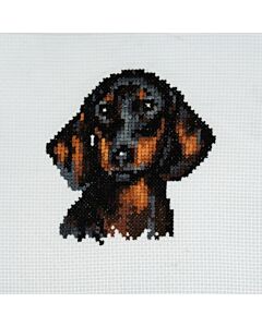 Trimits - Cross Stitch Kit - Dachshund