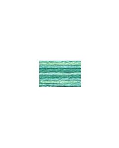 DMC Colour Variations Thread - 4040