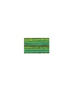 DMC Colour Variations Thread - 4050