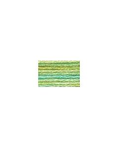 DMC Colour Variations Thread - 4060