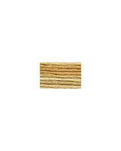 DMC Colour Variations Thread - 4075