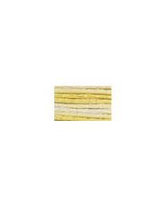 DMC Colour Variations Thread - 4077