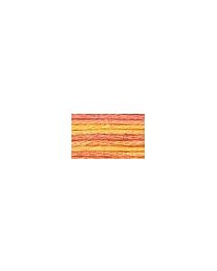 DMC Colour Variations Thread - 4100