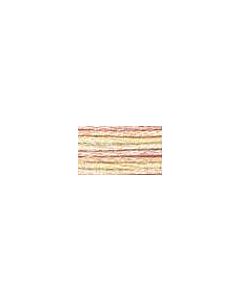 DMC Colour Variations Thread - 4160