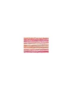 DMC Colour Variations Thread - 4170