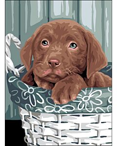 Canvas: Royal Paris: Puppy in Basket