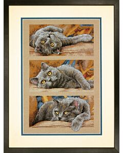 Max The Cat Dimensions Kit