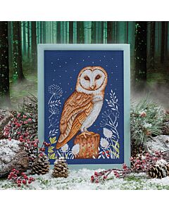 Cross Stitcher Project Pack - Issue 418 - Night Owl