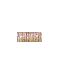 1/8in Ribbon - 5550 Nutmeg
