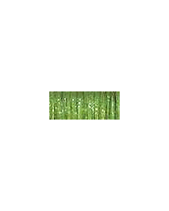 1/8in Ribbon - 5535 Oregano