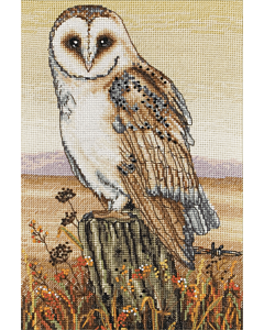 Anchor - Owl Horizon Cross Stitch Kit