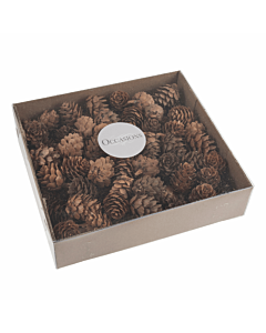 Natural Pinecones