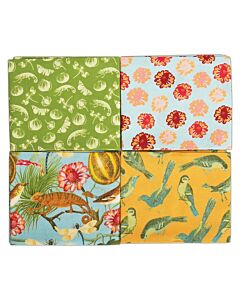 RHS FQ Bundle - Tropical