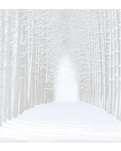 Fabric Flair 14ct Aida Winter Forest with Sparkles