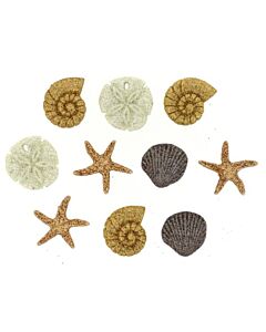 Dress It Up! Buttons - Seashells At The Seashore