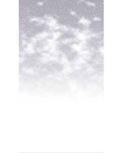Fabric Flair 14ct Aida Snowy Days Grey Portrait