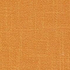 28 Count Trento Mustard
