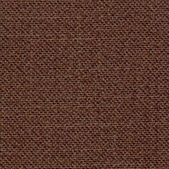 28 Count Trento Maroon